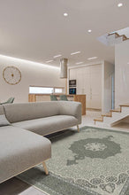 Load image into Gallery viewer, Tisa Sage Rug