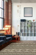 Load image into Gallery viewer, Linear Aztec Neutral Rug