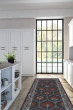 Load image into Gallery viewer, Sibel Raspberry Rug