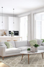 Load image into Gallery viewer, Terali Ash Grey Rug