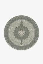 Load image into Gallery viewer, Tisa Sage Rug
