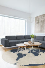 Load image into Gallery viewer, World Map Ivory Rug