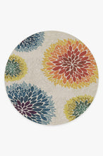 Load image into Gallery viewer, Floral Medallion Multicolor Rug
