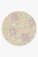 Load image into Gallery viewer, Fruit Punch Multicolor Rug
