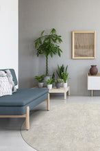 Load image into Gallery viewer, Serenata Ash Grey Rug
